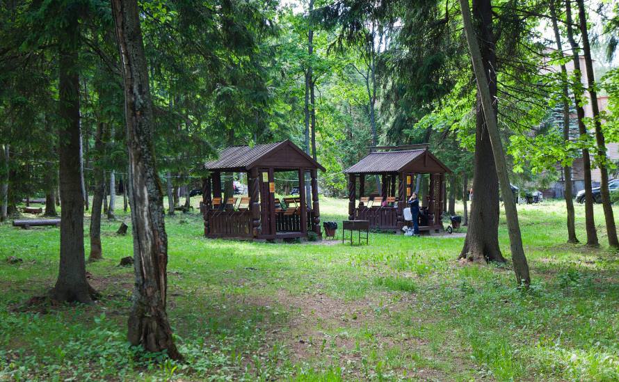 Отель парк лесной